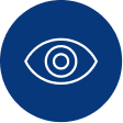 Our Vision